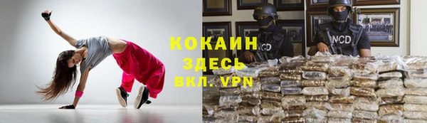 стафф Алзамай