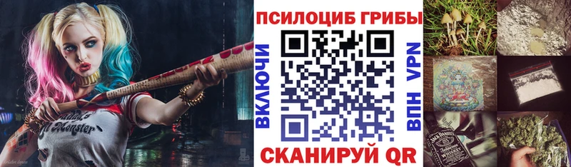 Галлюциногенные грибы прущие грибы где купить Светлоград